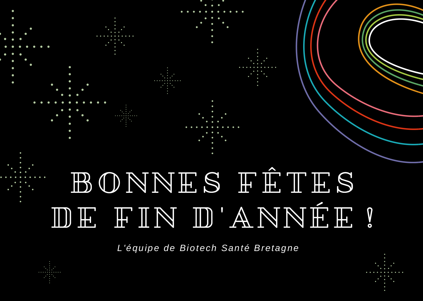 L Annee Se Termine Et Nous Vous Souhaitons De Bonnes Fetes Biotech Sante Bretagne